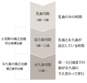 乳歯列期 0歳～6歳、混合歯列期 6歳～12歳、永久歯列期12歳～